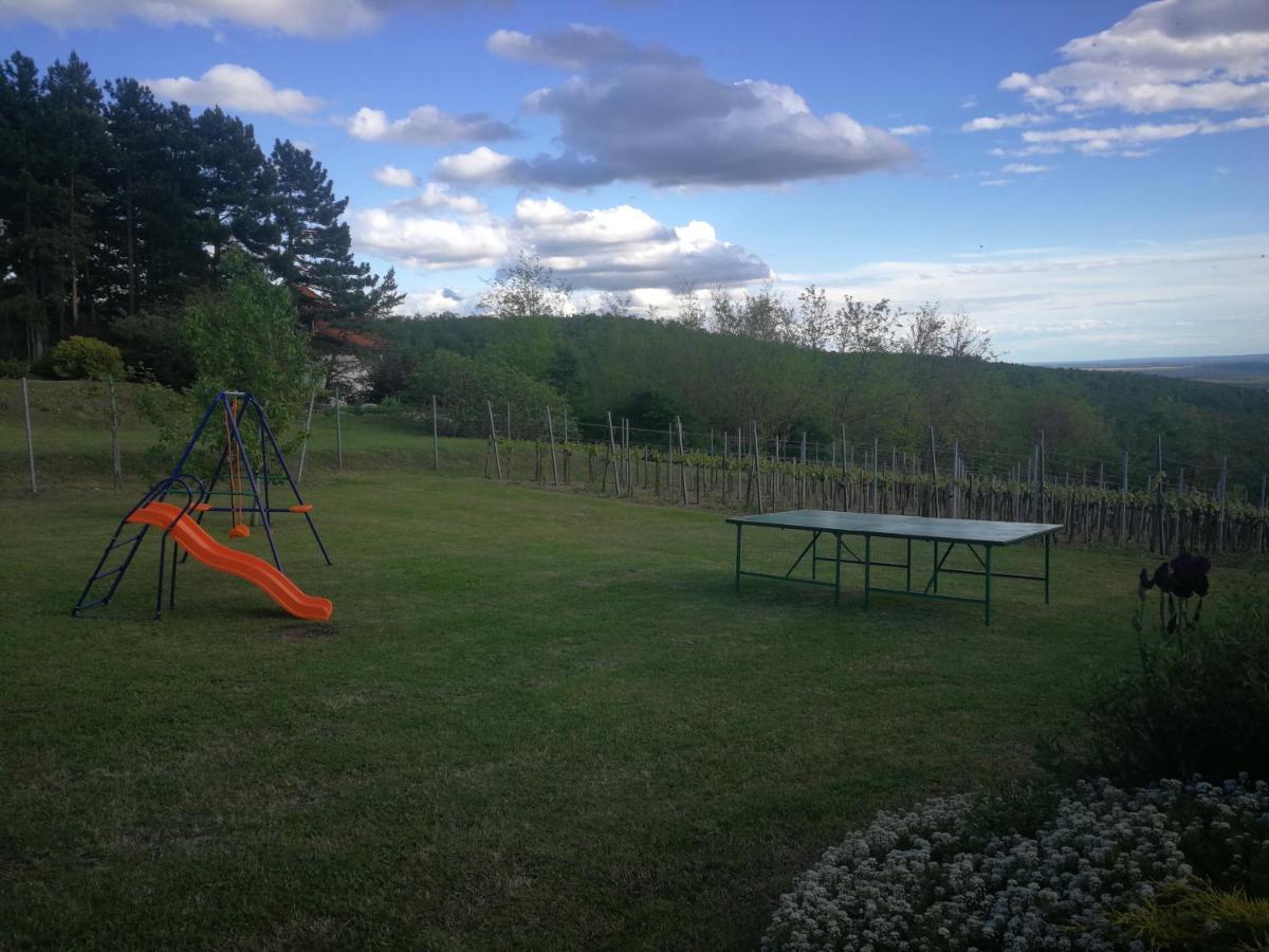 Bottyahát guesthouse Rezi Kültér fotó